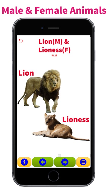 Animals & Animal Sounds Kids Toddlers Zoo App US-P screenshot-4