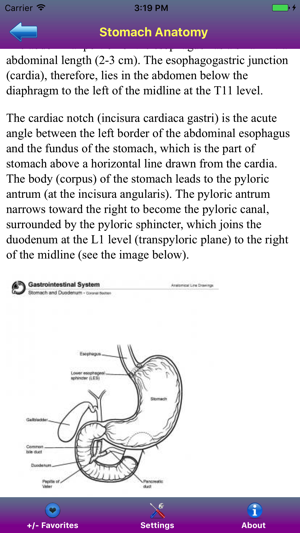 Medical Anatomy Reference(圖3)-速報App