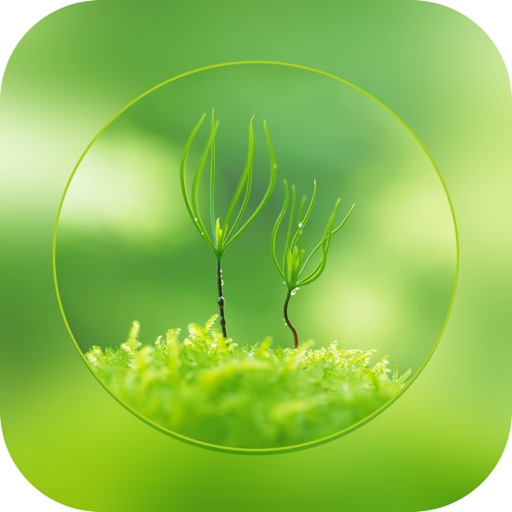 Botany Dic : Latest Botany Dictionary icon