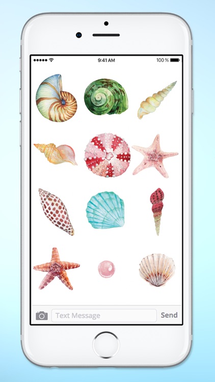 Beach Lover Sea Shells Sticker Pack