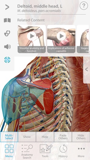 Muscle Premium - Human Anatomy, Kinesiology, Bones(圖1)-速報App