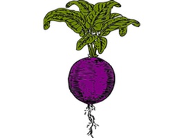 Beets Sticker Pack