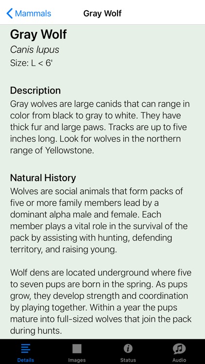 Yellowstone NP Field Guide screenshot-6