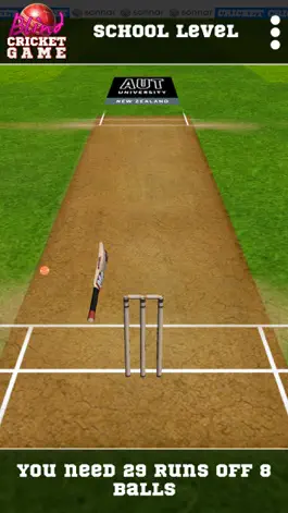 Game screenshot Blind Cricket hack