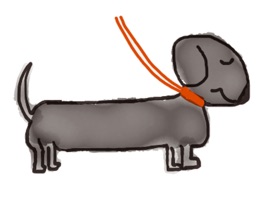 This dachshund (teckel, wiener dogs, doxies) sticker app has been created with lots of love, so I hope you'll enjoy it