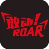 敢动 ROAR