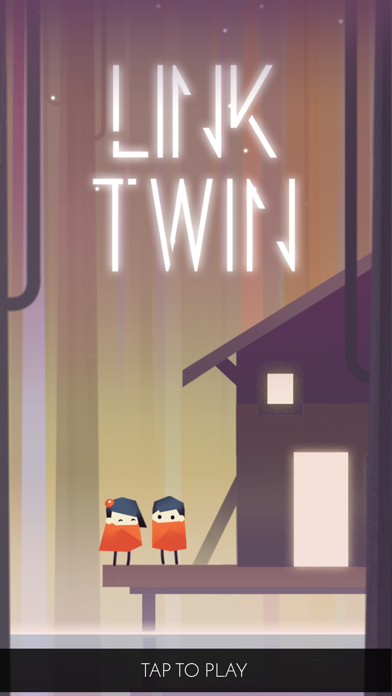 Link Twin screenshot1