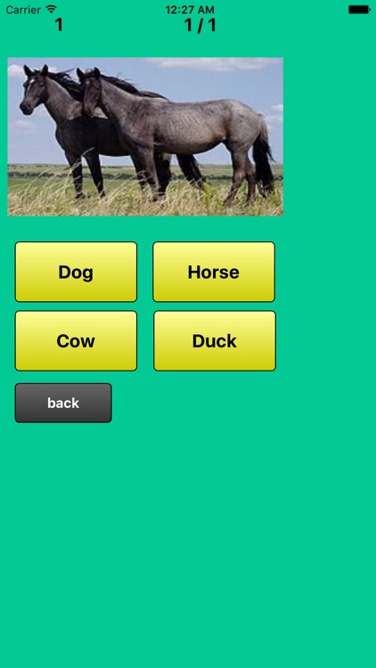 Farm Animals Quiz
