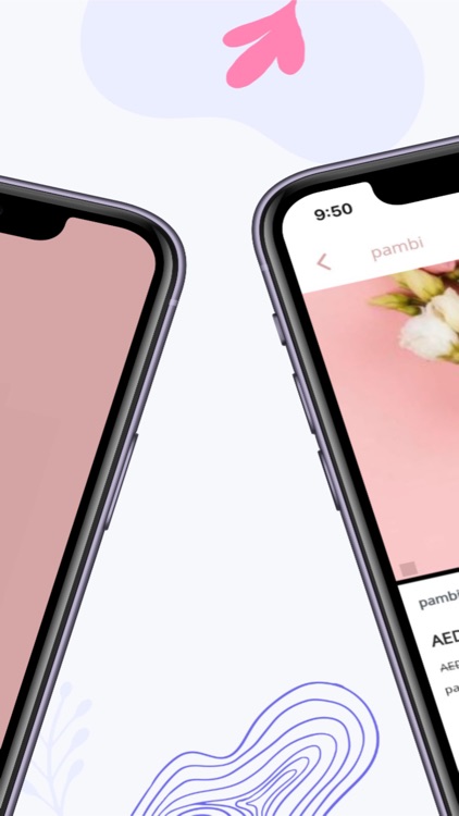 Felicita - Flowers Delivery