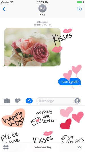 Valentines day sticker, love stickers for iMessage(圖1)-速報App