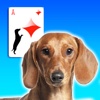 Doxie Solitaire