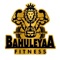 Bahuleyaa Fitness is gym management for clients