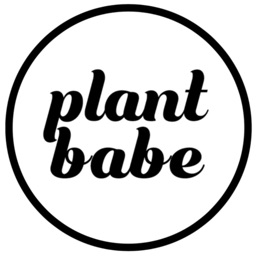 plant babe