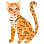 Wild Cats, Tigers and Lions app download