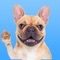 Get the cutest emoji stickers and keyboard for all the French Bulldog lovers