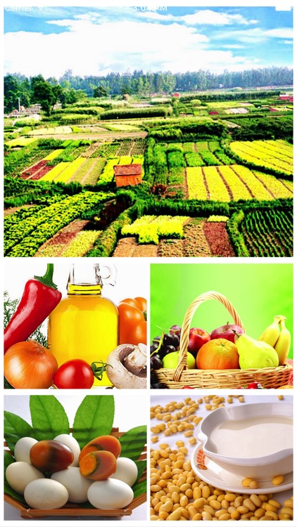 中国绿色农副产品