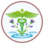 healthy culture 360