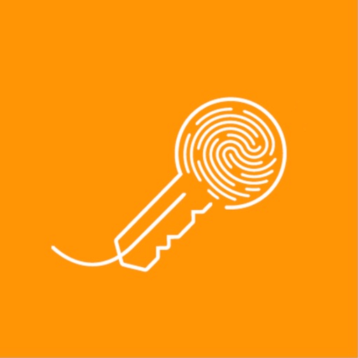 VS Smart Access Download