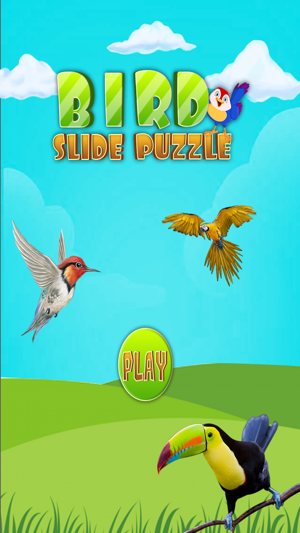 Bird Slide Puzzle Kids Game