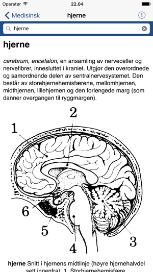 Ordnett - Medical Dictionary(圖3)-速報App