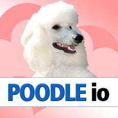 Activities of Poodle io (opoly)