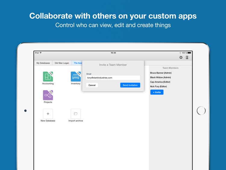 Ninox Database for iPad