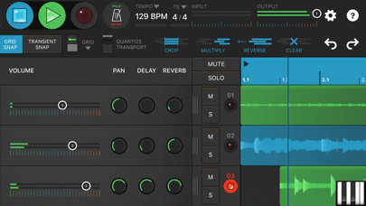 Looperverse – Multitrack Loop Recorder Screenshot 4