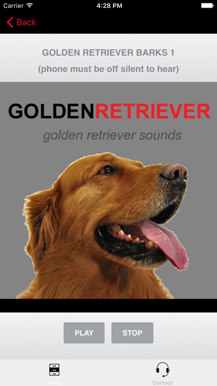 Golden Retriever Sounds for Dogs