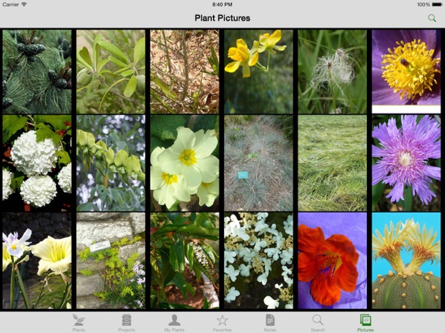 Landscaper's Companion for iPad(圖2)-速報App