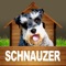 Schnauzer - opoly is a game of tail-wagging fun