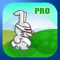 In this fast-paced jumping game called Bunny Scape, you take the helm and role of a bunny who hops merrily to collect carrots