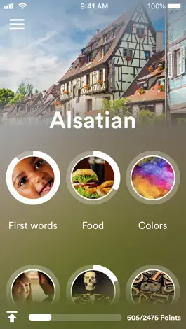Game screenshot Learn Alsatian - EuroTalk mod apk