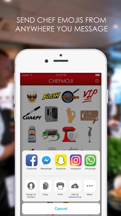 Chefmoji: Emojis & Stickers for Professional Chefs screenshot-4