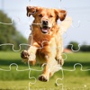 Kids Games Learn Puppy Patrol Jigsaw Puzzles