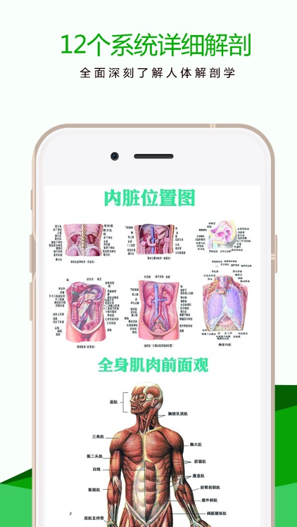 3Dbody解剖图谱-2017人体解剖生理学基础