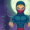 The Best Ninja