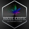 Rogue Exotic