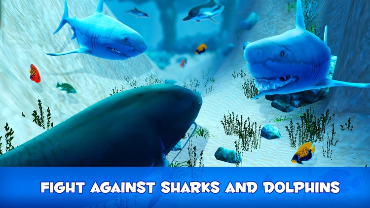 Catfish Underwater Life: Fish Simulator 3D screenshot-3