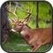 Start your day with this most adventurous and amazing pack of addictive hunting game