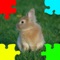 Icon Baby Rabbits Jigsaw Puzzles
