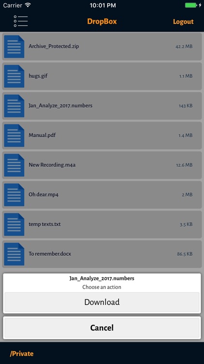 BrowserPro - Cloud Browser & File Manager
