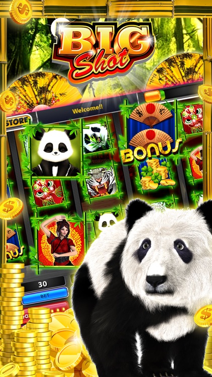 SLOTS : Lucky Wild Panda Ancient Chinese Game
