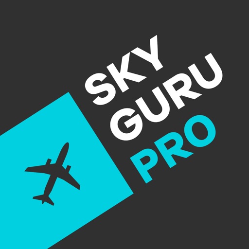 SkyGuru Pro. In-flight support and explanations.