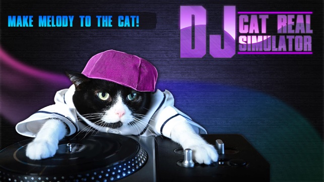 DJ Cat Real Simulator(圖1)-速報App