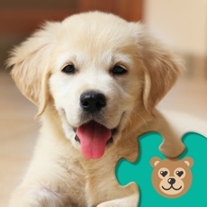 Activities of Dog & Puppy Puzzle Fun