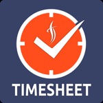 Ontime - Odoo Timesheet
