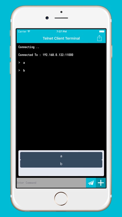 Telnet Client Terminal