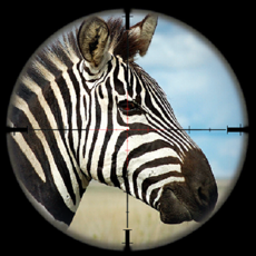 Activities of Wild Zebra Hunting Simulator