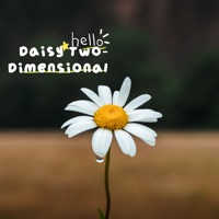 Daisy Two-Dimensional