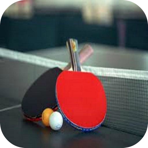 New Ping Pong 3D Pro Icon